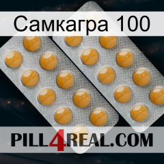 Самкагра 100 levitra2